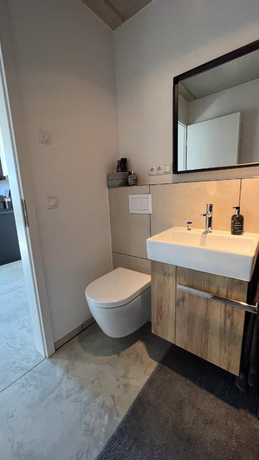 M Apartment Loft - Stylish Minimalisitisch Aussergewoehnlich Landau in der Pfalz Buitenkant foto
